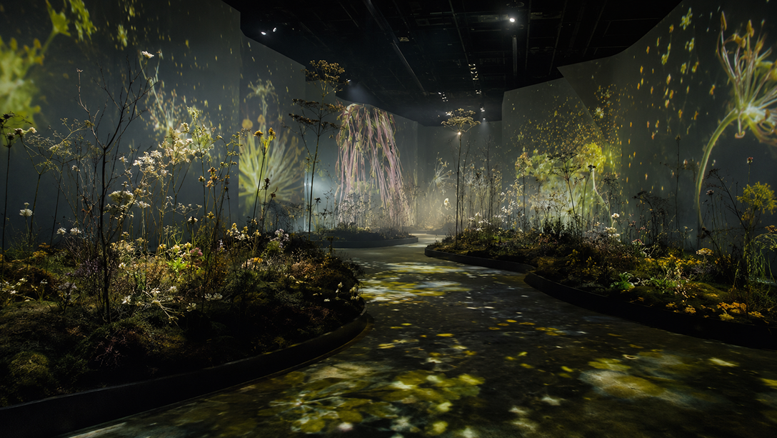 Wide view of a blooming immersive exhibition.